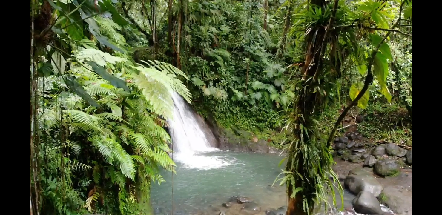 Cascade aux Écrevisses en Basse-Terre, sentier tropical et eau claire
