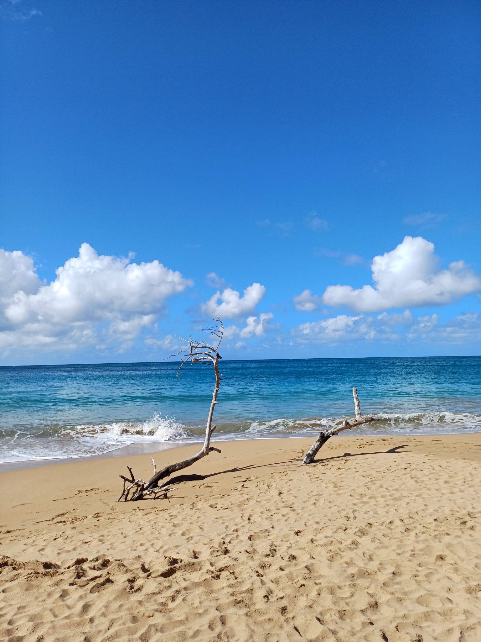 Plage de La Perle à Deshaies, sable doré et mer turquoise – circuit Beautés du Nord Basse-Terre